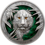 Stříbrná mince Barvy divočiny - Tygr 2021 Antique Standard