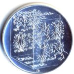 Stříbrná mince 200 Kč 150. výročí založení Střední uměleckoprůmyslové sklářské v Kamenickém Šenově 2006 b.k.