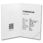 Sběratelská investiční mince 2000 Francs Duch kmene Komančů high relief, antique, kolorovaná 2 oz Ag 2024 - Obrázek 4