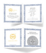 Sběratelská investiční mince 5 Mark Artefacts Mjölnir 1 oz Ag 2025 - Obrázek 3