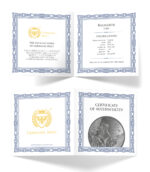 Sběratelská investiční mince 5 Mark Ragnarök: Loki 1 oz Ag 2025 - Obrázek 3