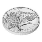 Sběratelská investiční mince 2 NZD Orel 2026 1 Oz Ag - Obrázek 3